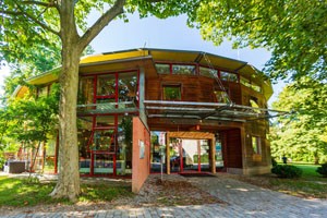 Das Foto zeigt die AWO Schulkinderbetreuung in Trostberg. Ein großer Baum steht vor dem Rundbau.