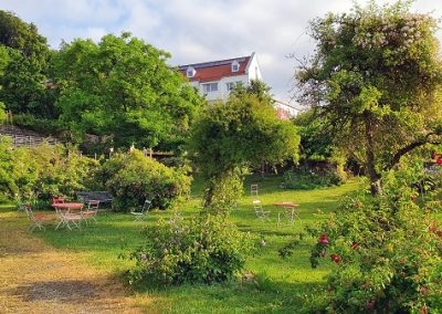 Rosengarten mit Blick auf das Kreisaltenheim Trostberg