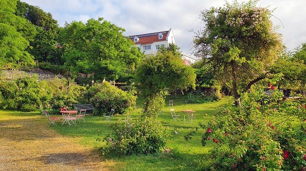 Rosengarten mit Blick auf das Kreisaltenheim Trostberg