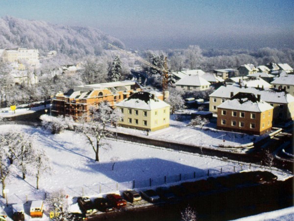 Die Königswiese im Winter