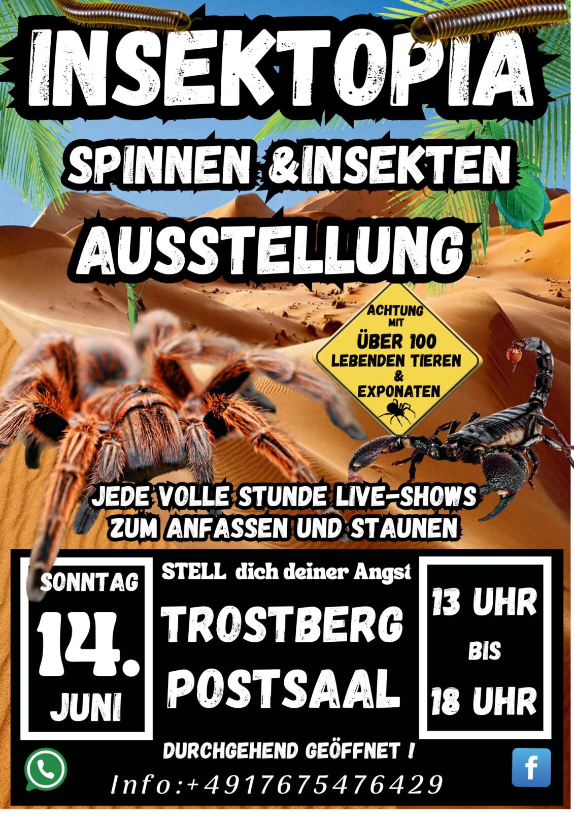 Spinnenausstellung Insektopia