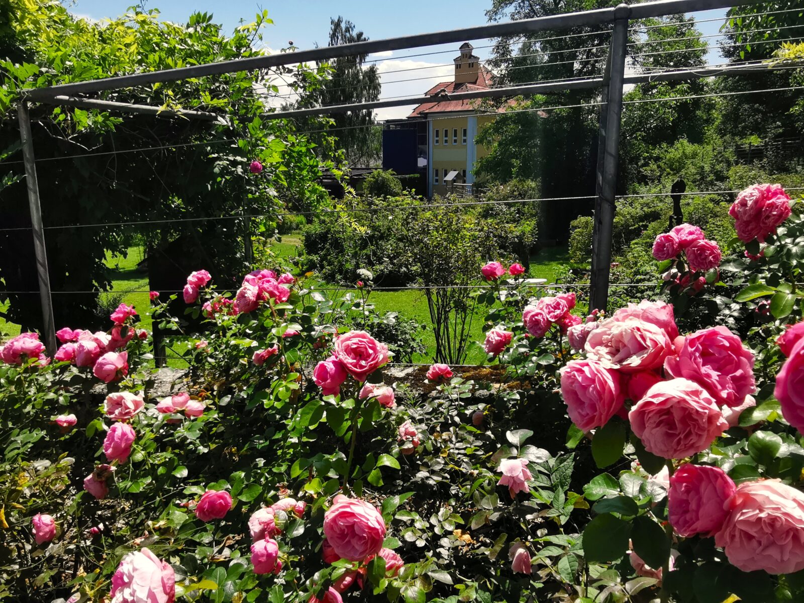 Rosengarten 5 (Stadt Trostberg)